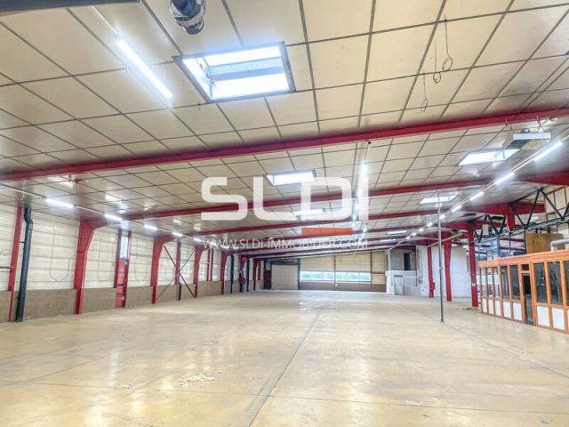 Locaux d'activités A VENDRE OU A LOUER - RILLIEUX LA PAPE - 3 200 m²