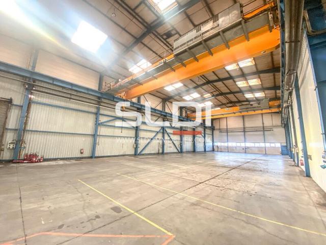 Locaux d'activités A LOUER - BELIGNEUX - 1 910 m²
