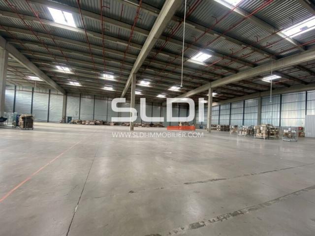 Locaux d'activités A LOUER - MIONS - 7 933 m²