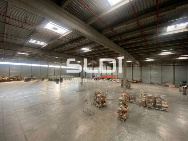 Locaux d'activités A LOUER - MIONS - 7 933 m²