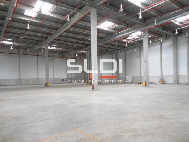 Entrepôts/Messagerie A LOUER - VAULX MILIEU - 6 655 m²