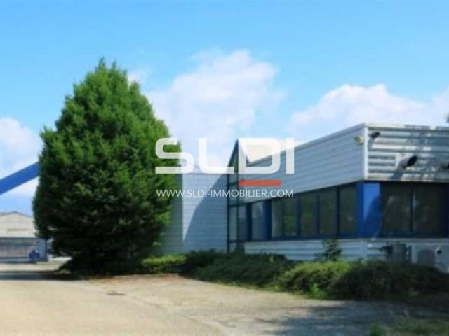 Locaux d'activités A LOUER - SAINT FONS - 930 m²