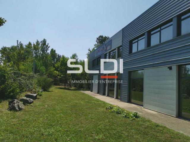 Locaux d'activités A LOUER - ECHIROLLES - 781 m²