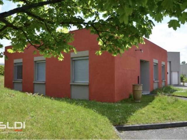Bureaux A LOUER - RILLIEUX LA PAPE - 250 m²