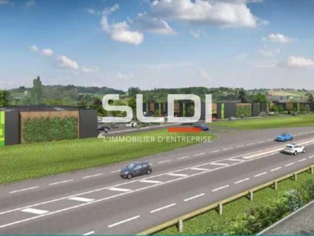 Commerces A VENDRE OU A LOUER - ANSE - 2 171 m²