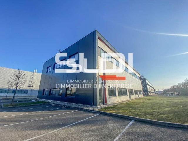 Bureaux A LOUER - MEYZIEU - 115 m²