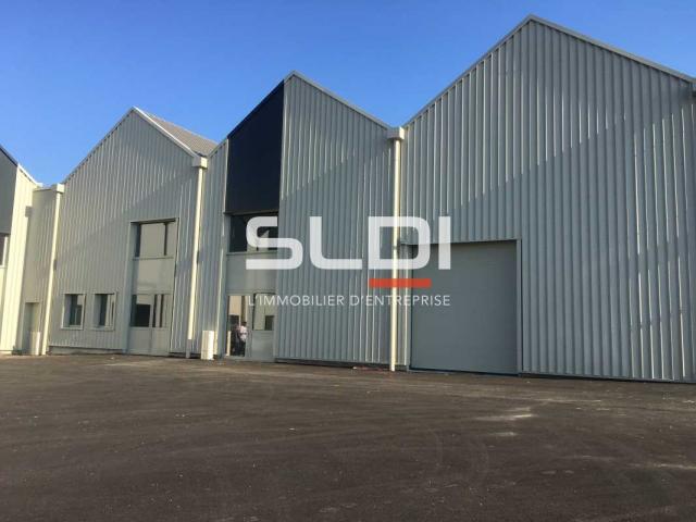 Locaux d'activités A LOUER - GENAS - 239 m²