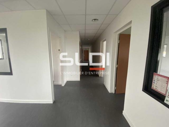 Bureaux A LOUER - RILLIEUX LA PAPE - 576 m²