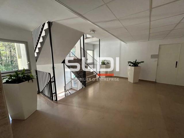 Bureaux A LOUER - ECULLY - 267 m²