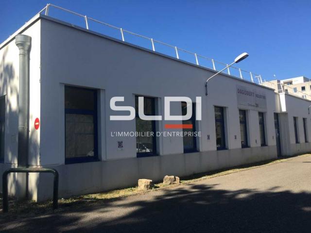 Bureaux A LOUER - VILLEURBANNE - 1 309 m²