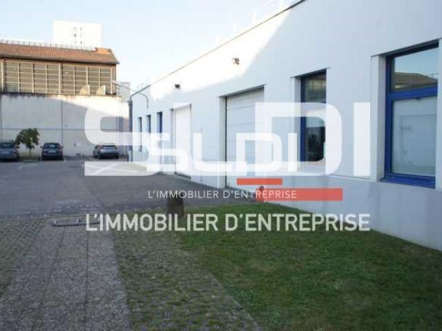 Bureaux A LOUER - VILLEURBANNE - 1 309 m²