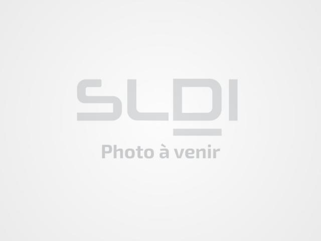 Locaux d'activités A VENDRE OU A LOUER - SAINT ETIENNE - 1 613 m²