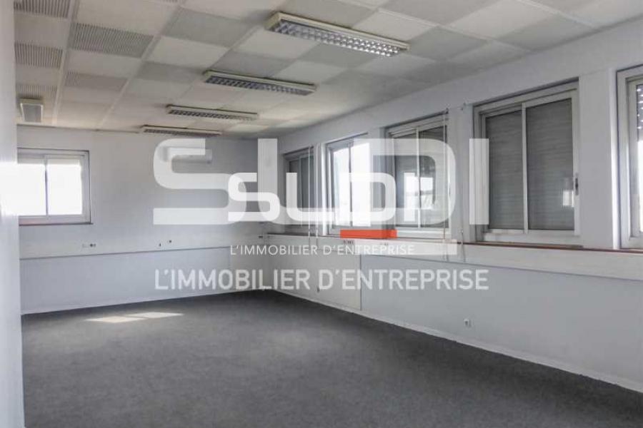 Activités A LOUER - DECINES CHARPIEU - 2 300 m²