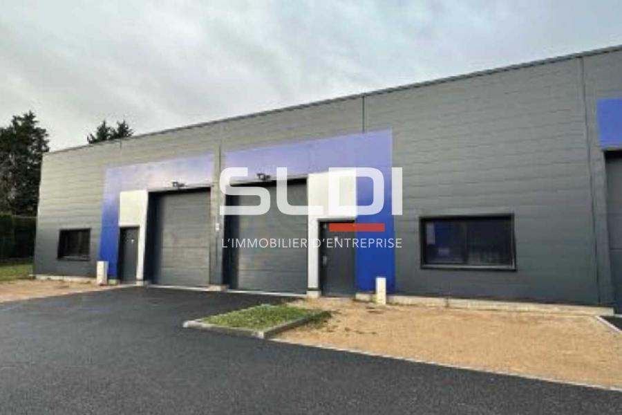 Activités A LOUER - POMMIERS - 294 m²