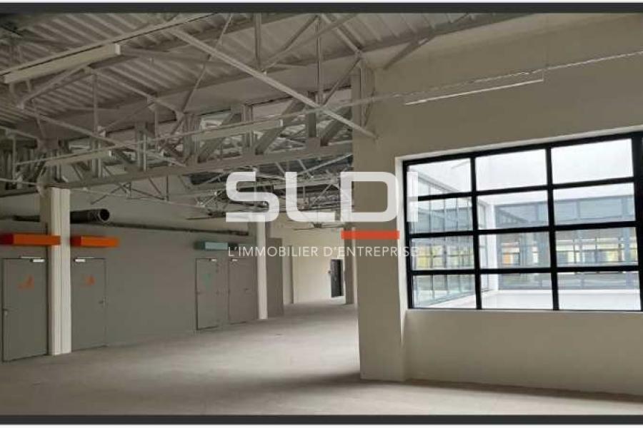 Bureaux A LOUER - LYON - 1 483 m²