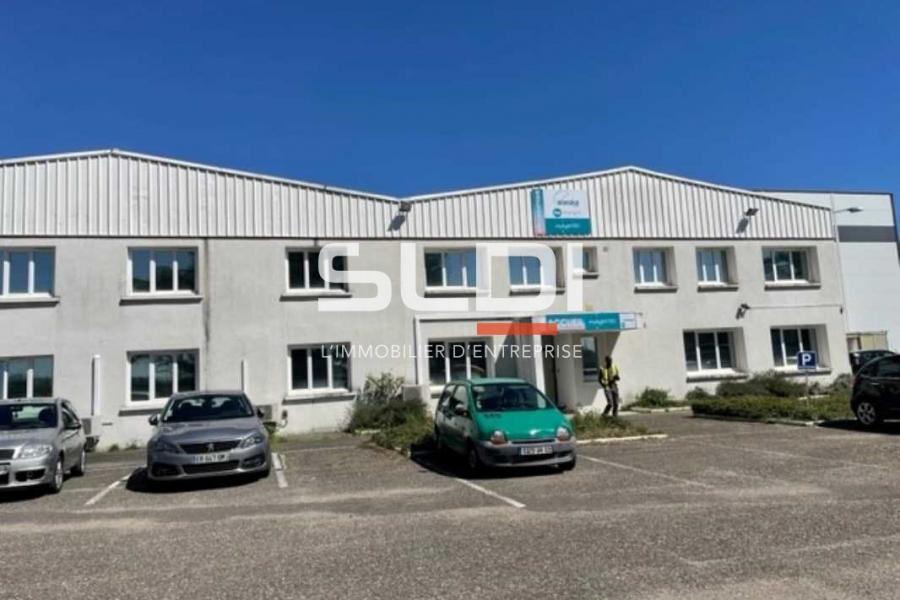 Activités A VENDRE OU A LOUER - MEYZIEU - 4 400 m²