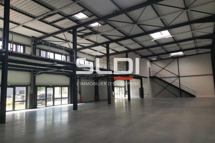 Activités A LOUER - SAINT QUENTIN FALLAVIER - 3 440 m²