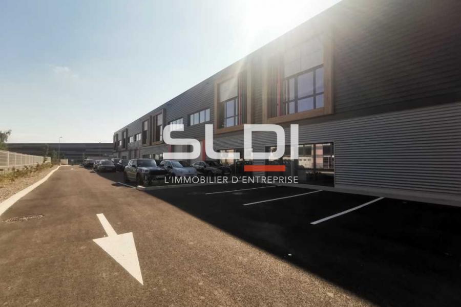 Activités A LOUER - SAINT QUENTIN FALLAVIER - 3 440 m²