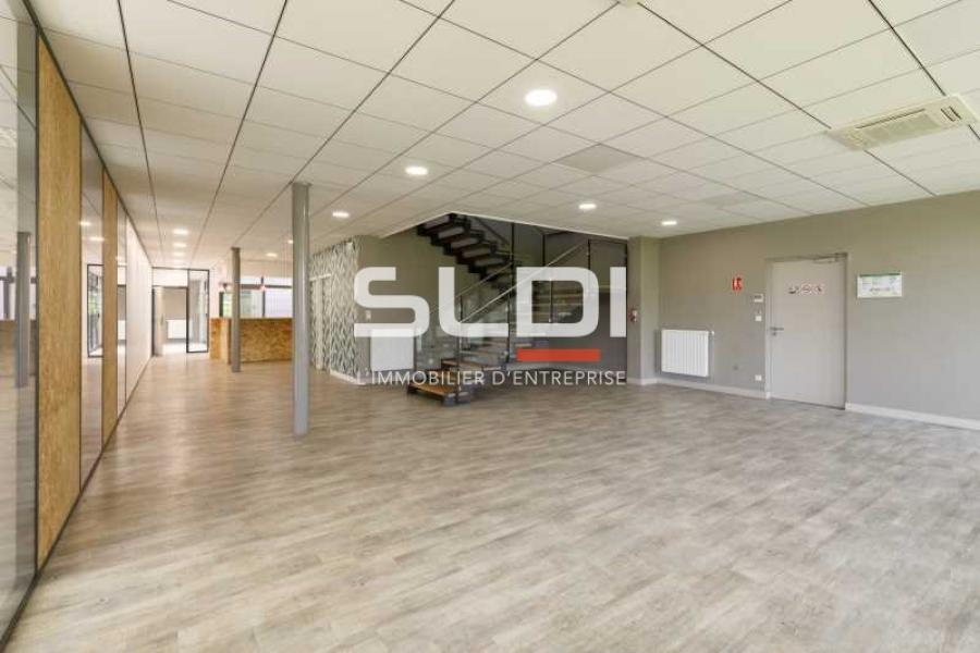 Activités A LOUER - MIRIBEL - 9 623 m²