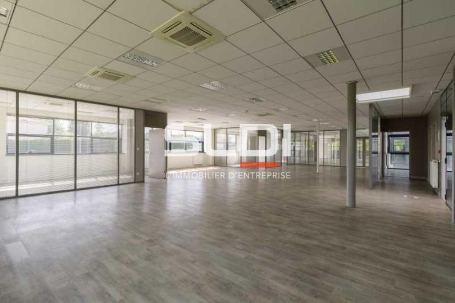 Activités A LOUER - MIRIBEL - 9 623 m²