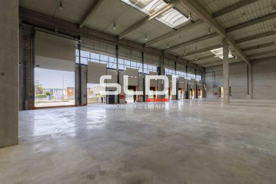 Activités A LOUER - MIRIBEL - 9 623 m²