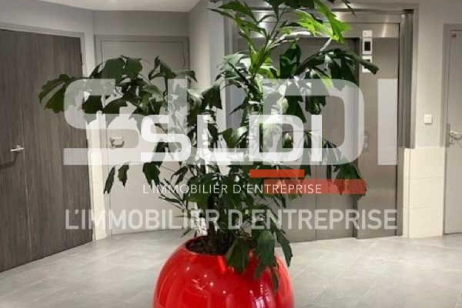 Bureaux A LOUER - LYON - 126 m²