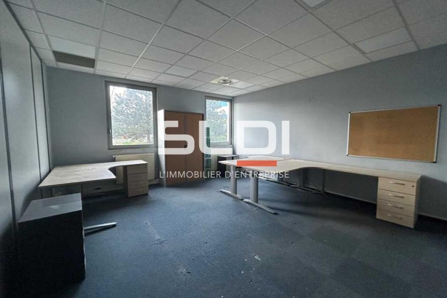 Activités A LOUER - DARDILLY - 267 m²