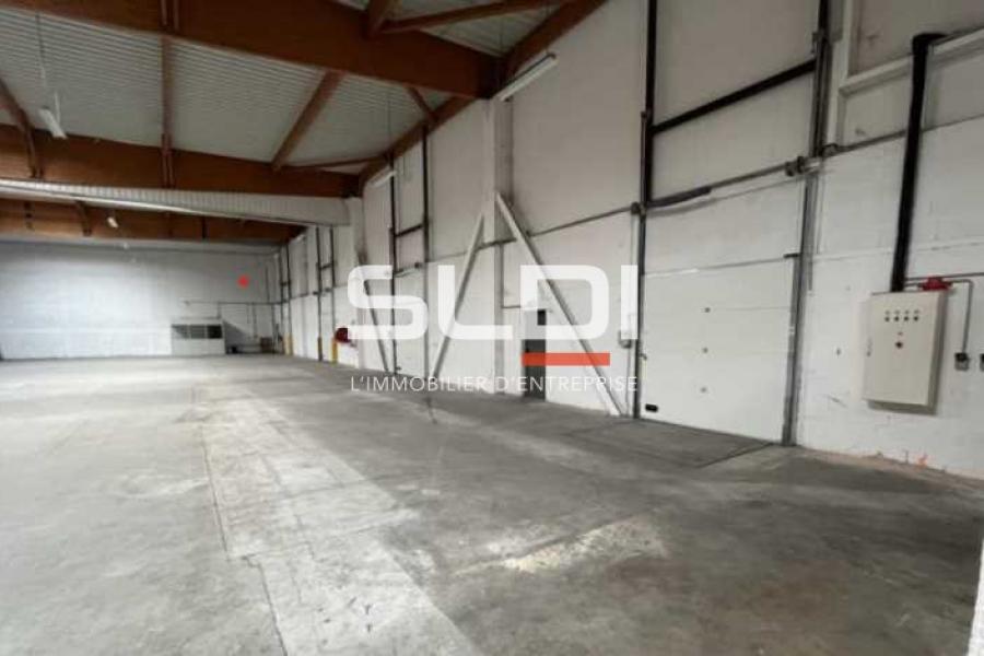 Activités A LOUER - SAINT QUENTIN FALLAVIER - 2 560 m²