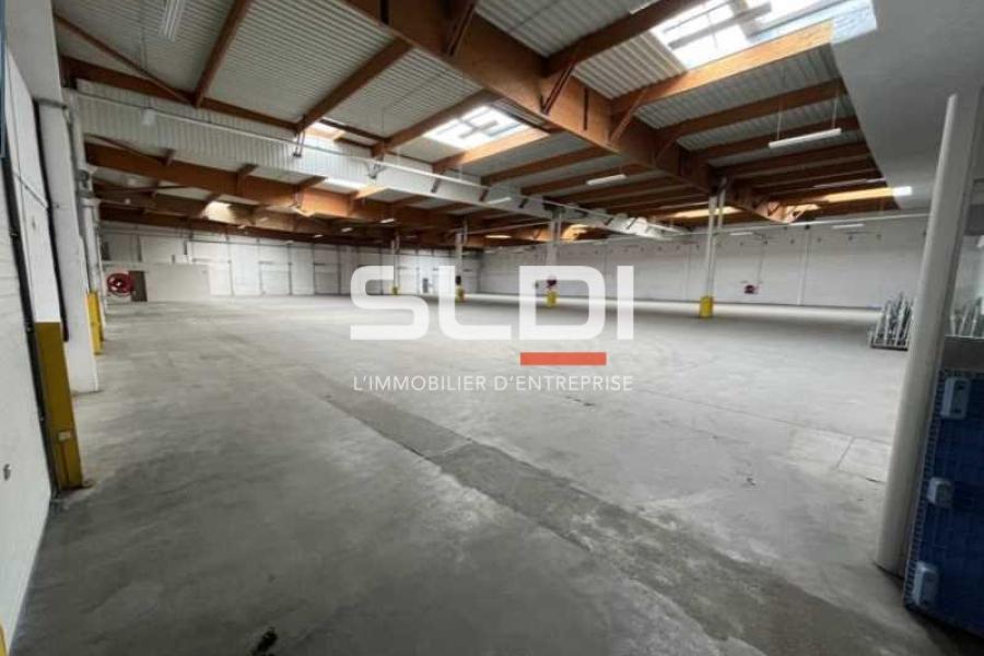 Activités A LOUER - SAINT QUENTIN FALLAVIER - 2 560 m²