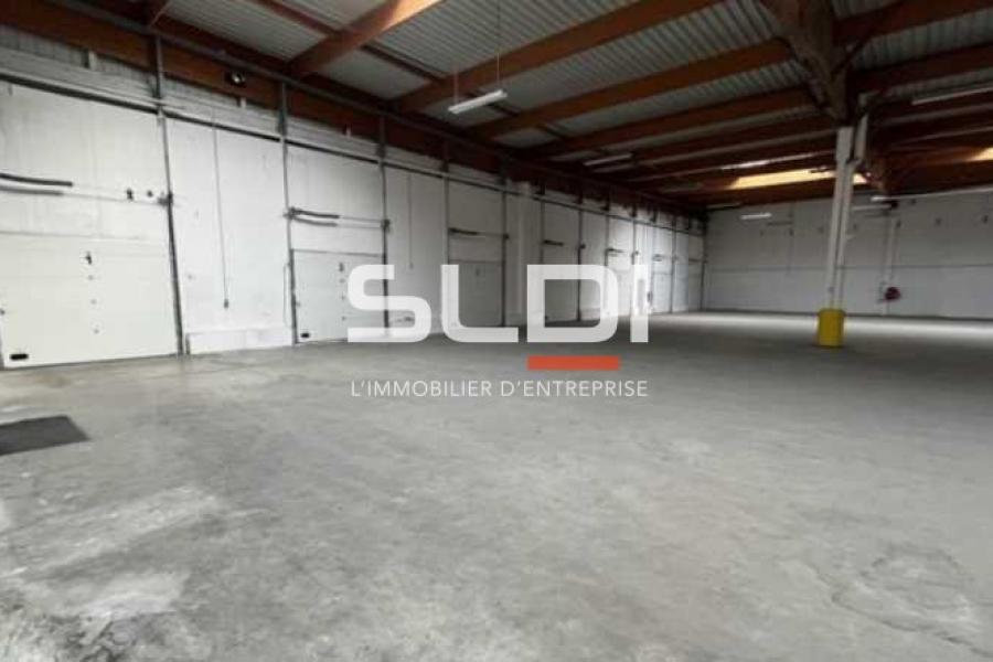 Activités A LOUER - SAINT QUENTIN FALLAVIER - 2 560 m²