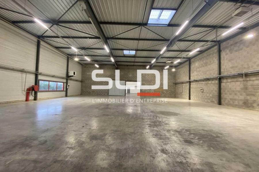 Activités A LOUER - DAGNEUX - 564 m²