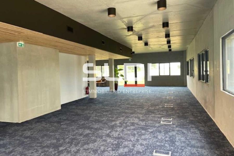 Bureaux A VENDRE OU A LOUER - RILLIEUX LA PAPE - 850 m²