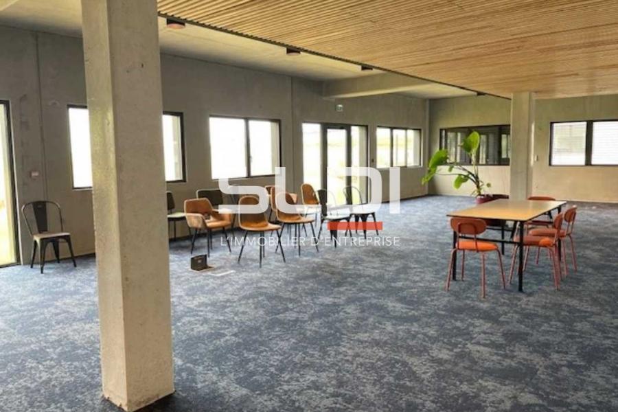 Bureaux A VENDRE OU A LOUER - RILLIEUX LA PAPE - 850 m²