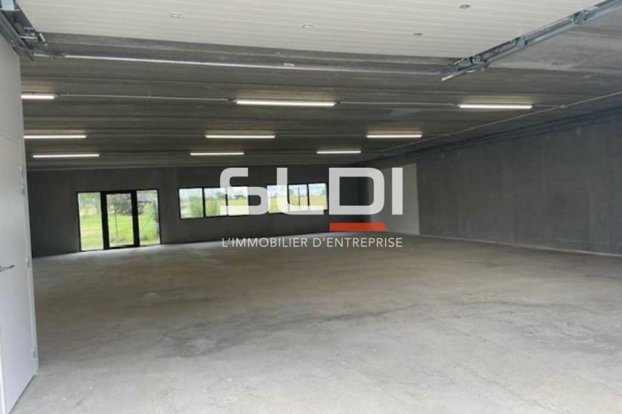 Activités A VENDRE OU A LOUER - RILLIEUX LA PAPE - 232 m²