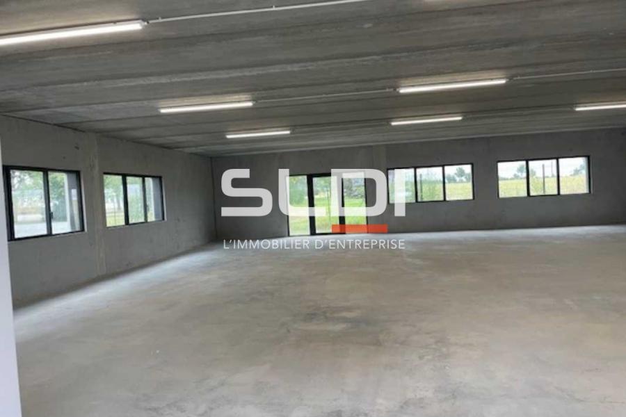 Activités A VENDRE OU A LOUER - RILLIEUX LA PAPE - 232 m²