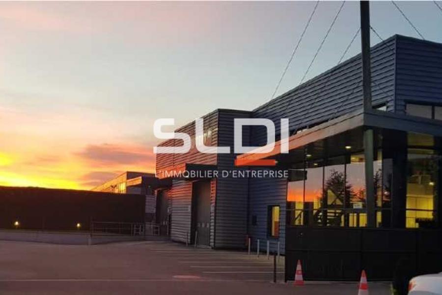 Activités A LOUER - SAINT QUENTIN FALLAVIER - 1 310 m²