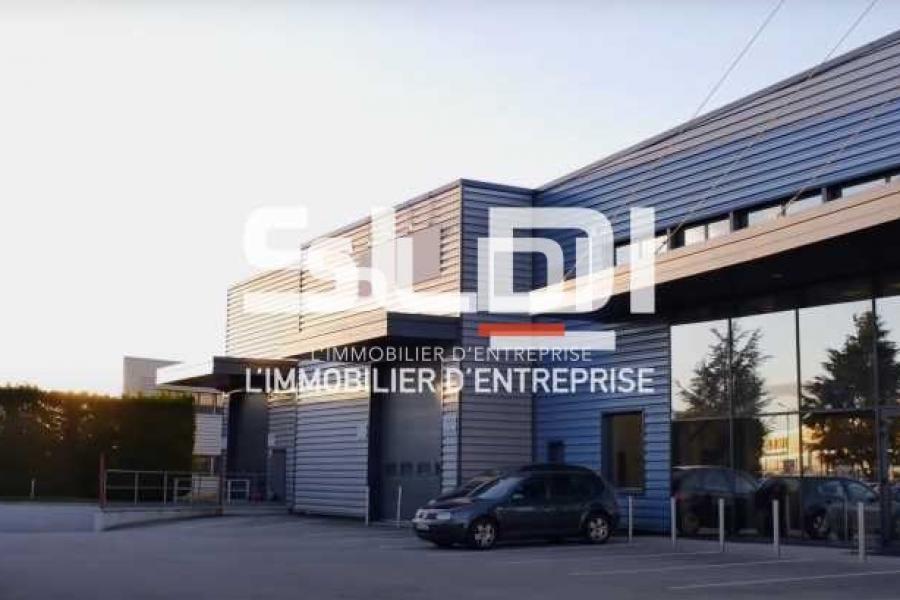 Activités A LOUER - SAINT QUENTIN FALLAVIER - 1 310 m²