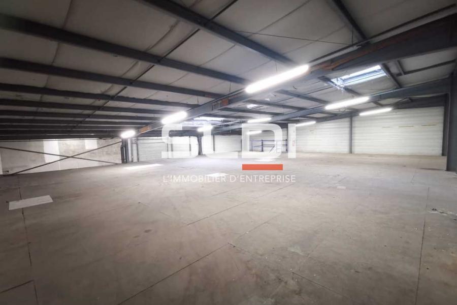 Activités A LOUER - TOUSSIEU - 750 m²