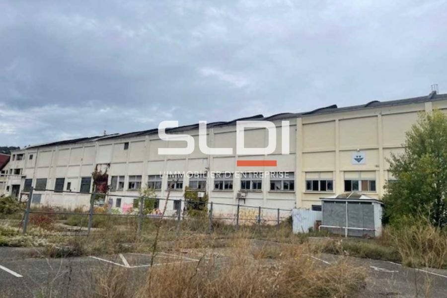 Activités A VENDRE - GIVORS - 4 387 m²