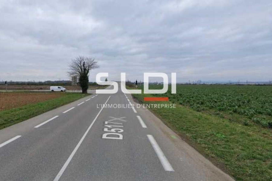 Terrains A LOUER - PUSIGNAN - 250 m²