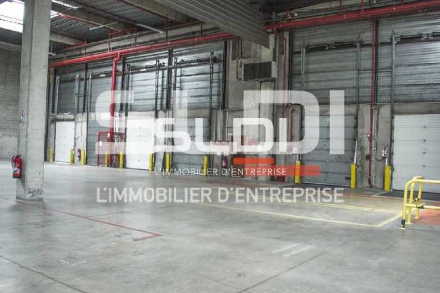 Activités A LOUER - VENISSIEUX - 3 584 m²