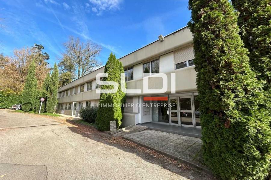 Bureaux A LOUER - ECULLY - 318 m²