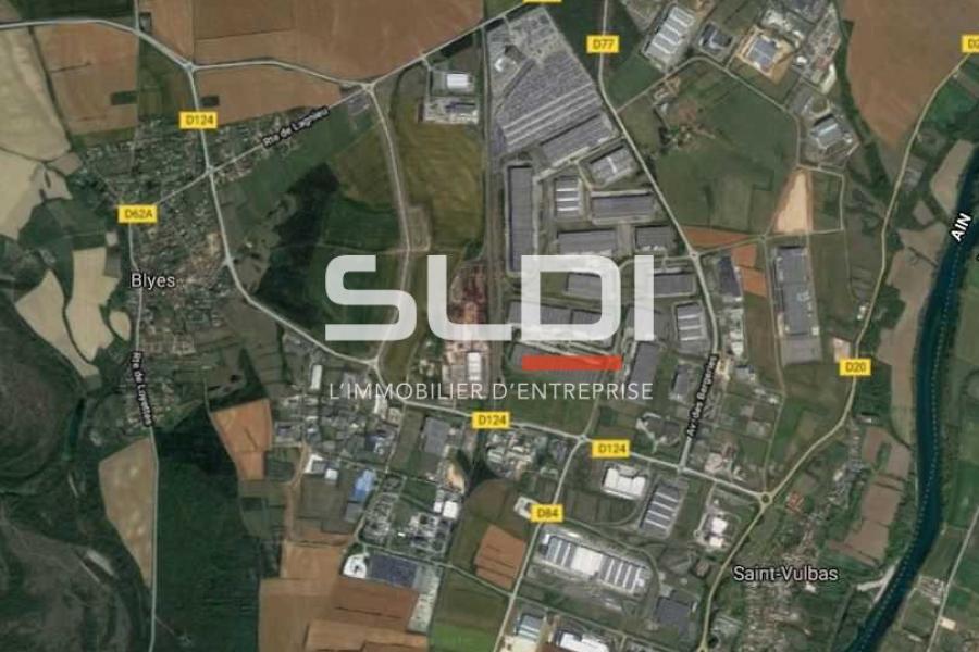 Terrains A VENDRE - SAINT VULBAS - 10 000 m²