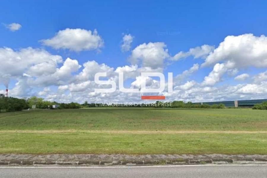 Terrains A VENDRE - SAINT VULBAS - 10 000 m²