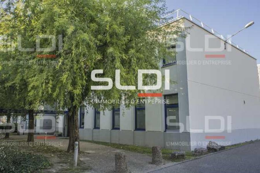 Bureaux A LOUER - VILLEURBANNE - 528 m²